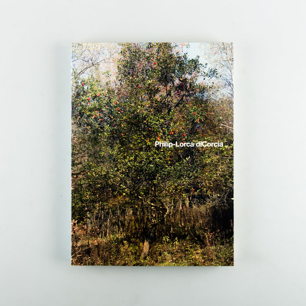 Philip-Lorca diCorcia by Philip Lorca diCorcia - 18