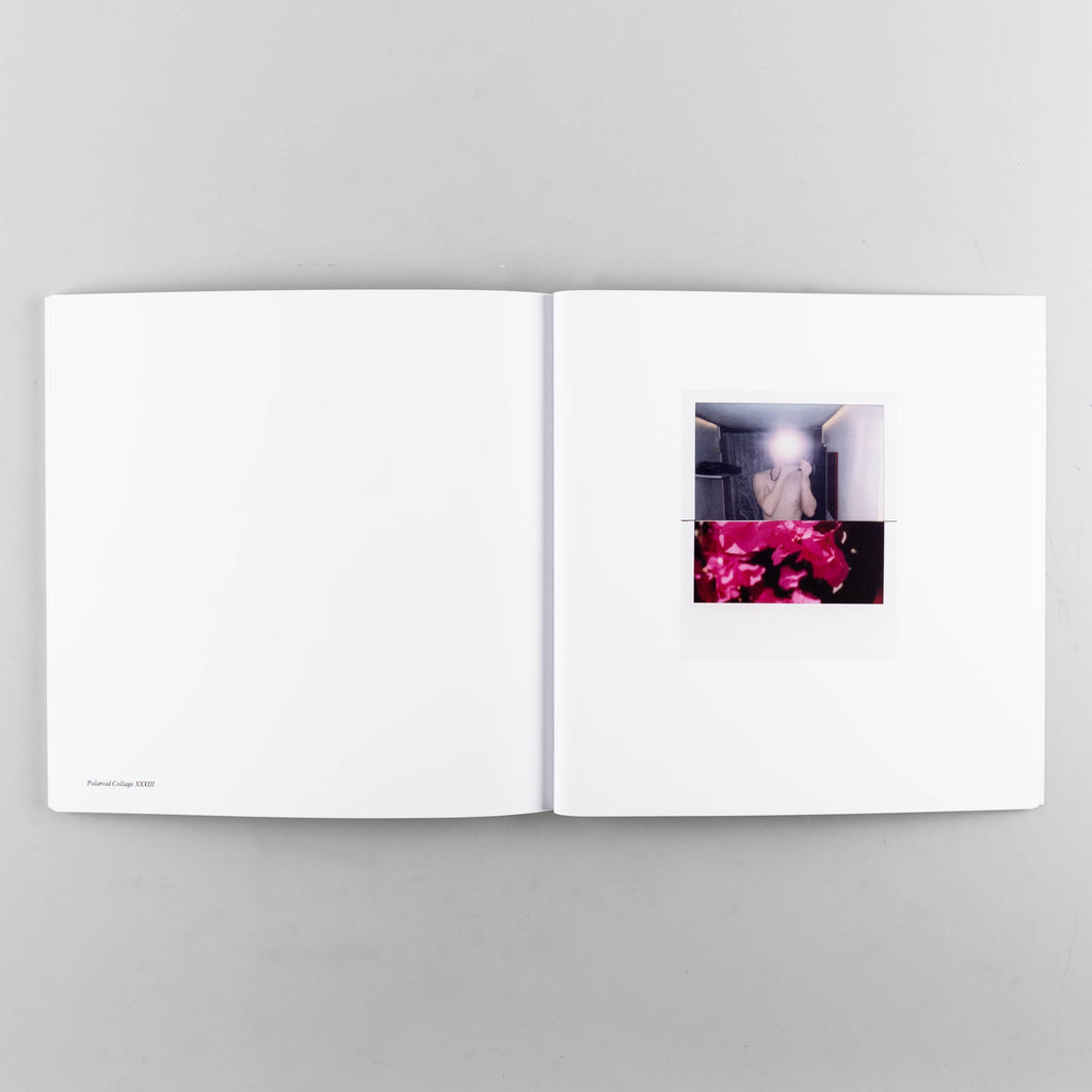 Polaroid Collages LA/CDMX by Stuart Sandford - 5