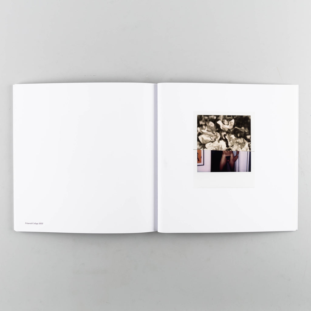 Polaroid Collages LA/CDMX by Stuart Sandford - 4