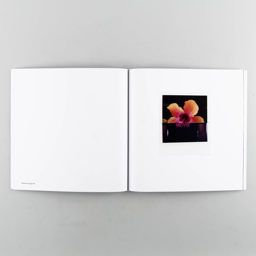 Polaroid Collages LA/CDMX by Stuart Sandford - 8
