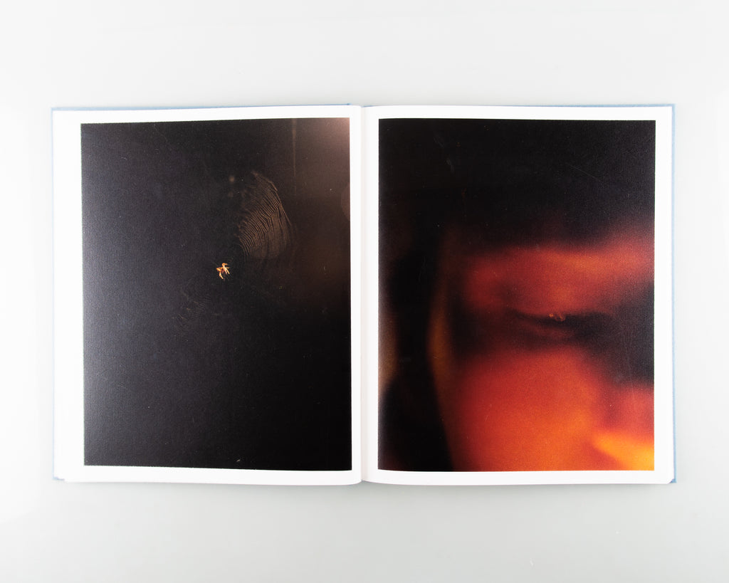 Poppy Promises by Thomas Duffield - 11