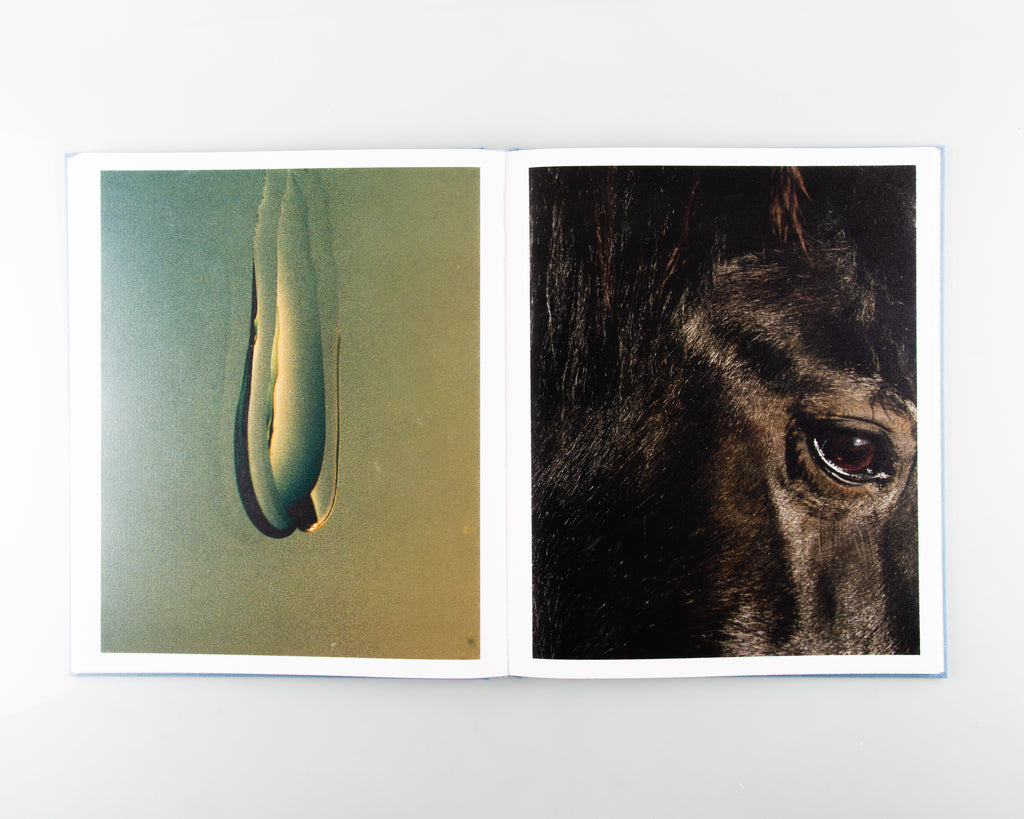 Poppy Promises by Thomas Duffield - 6