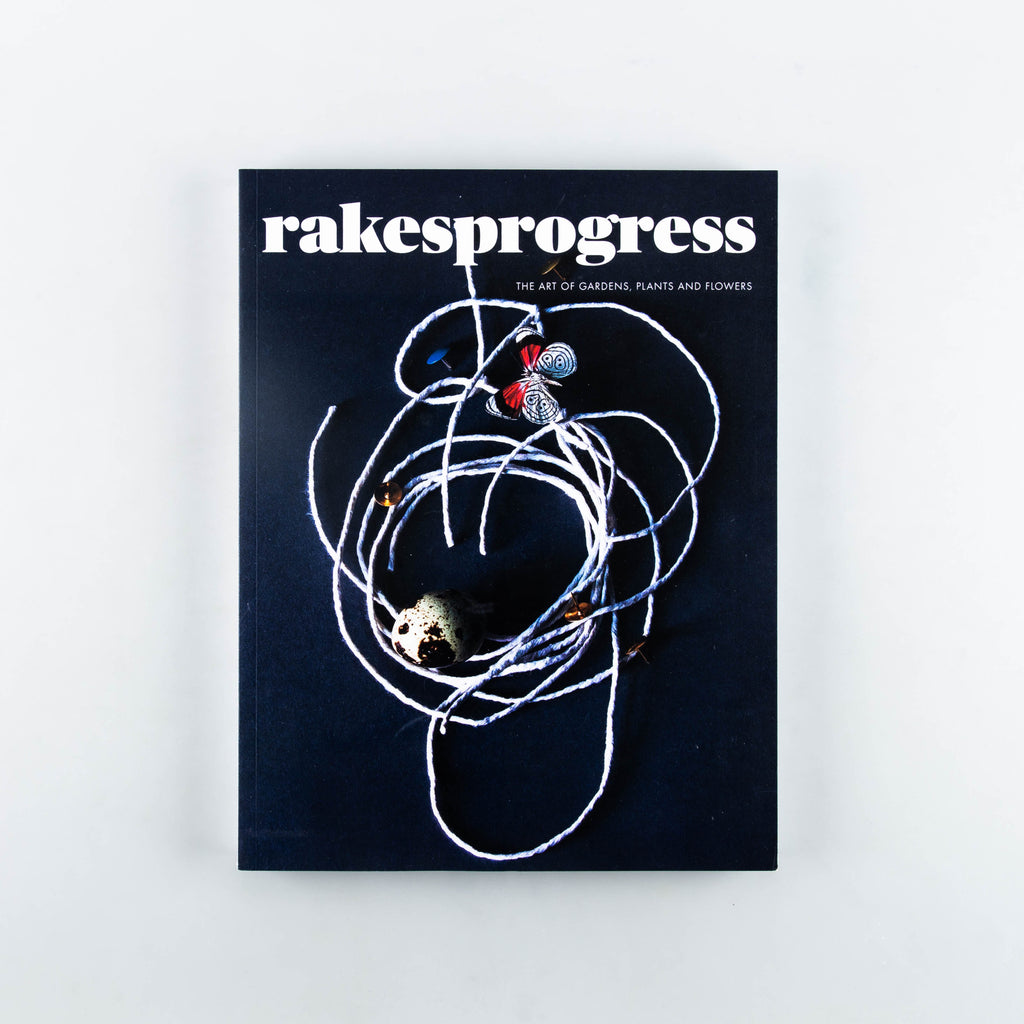 Rakes Progress Magazine 17 - Cover