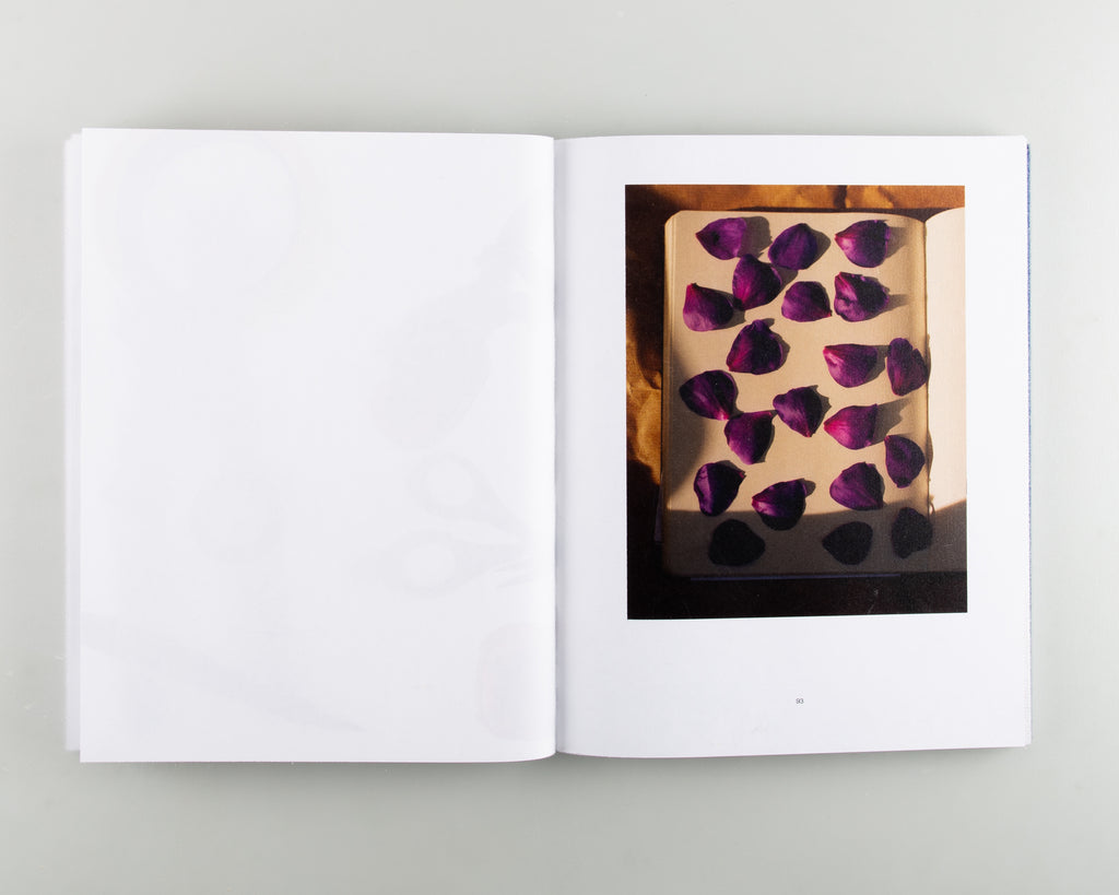 Reconstructed Nature by Luke Norman & Nik Adam - 4