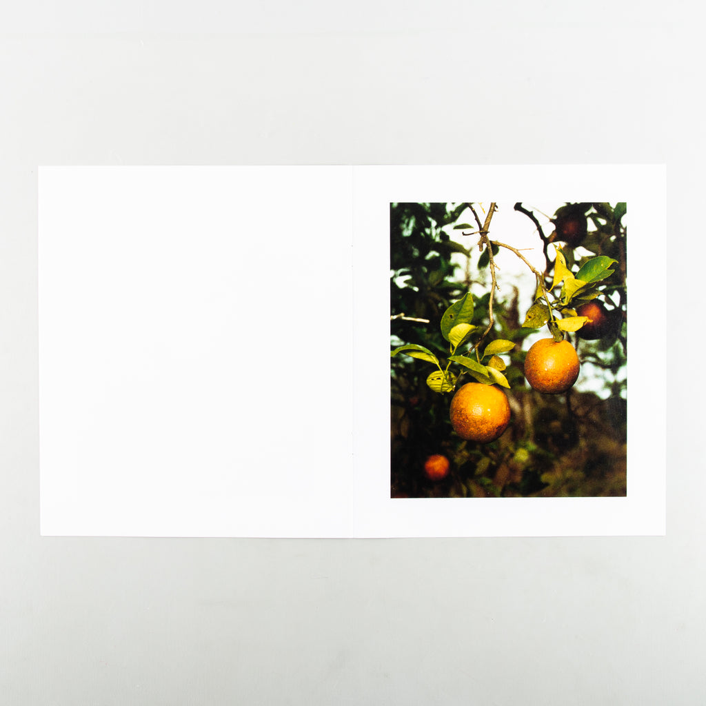 In The Beginning by Roe Ethridge - 10