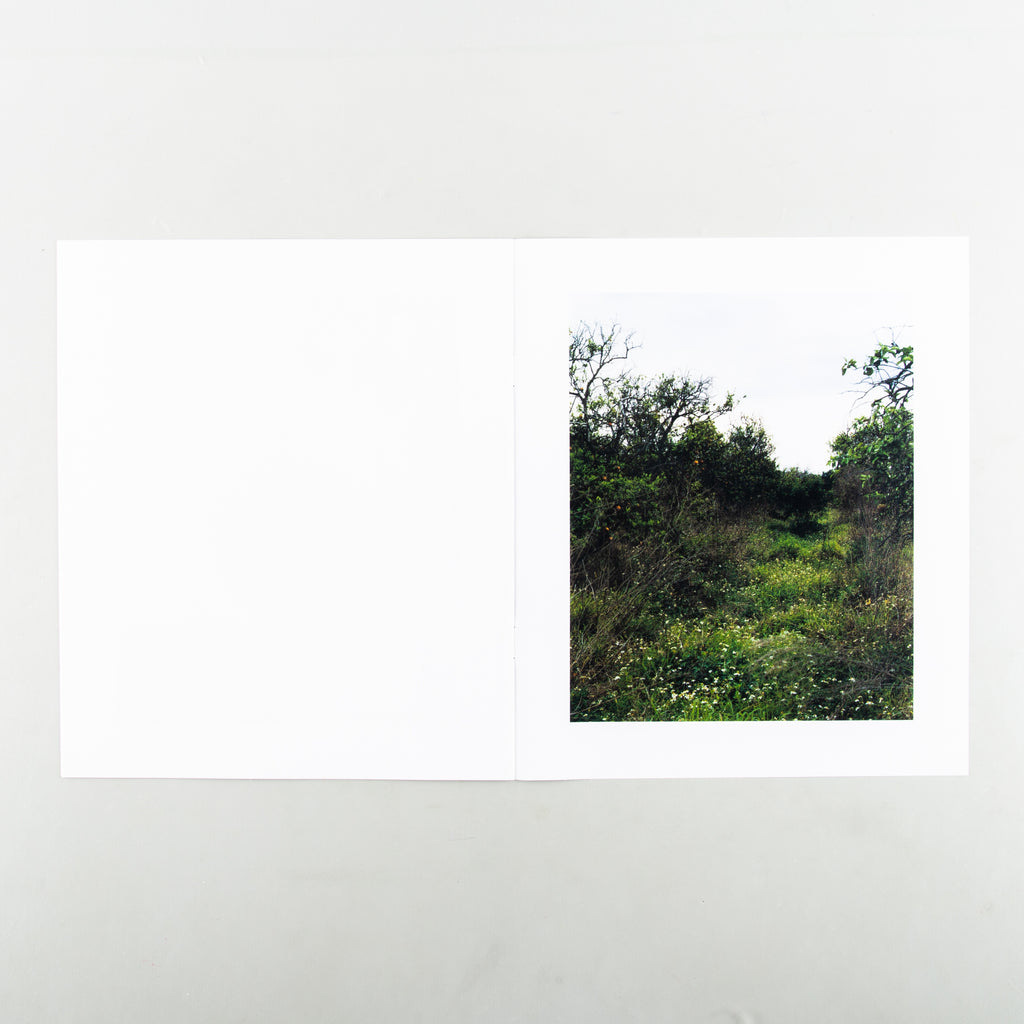 In The Beginning by Roe Ethridge - 9