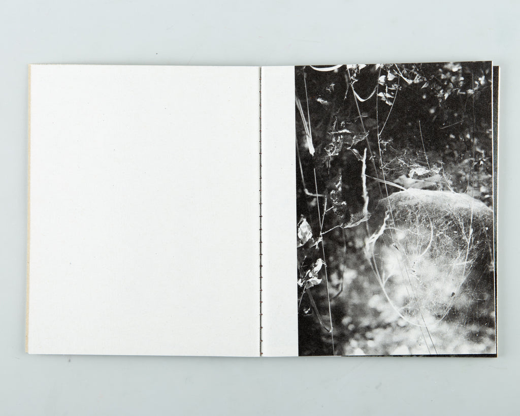 Scarle by Daniel Jefferies - 10