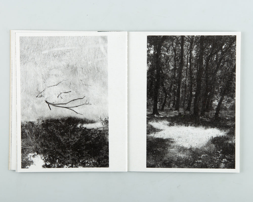 Scarle by Daniel Jefferies - 4