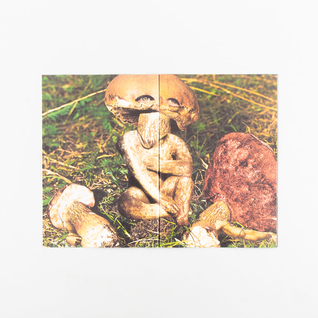 Hybrids and Mushroom friends by Seana Gavin - 5