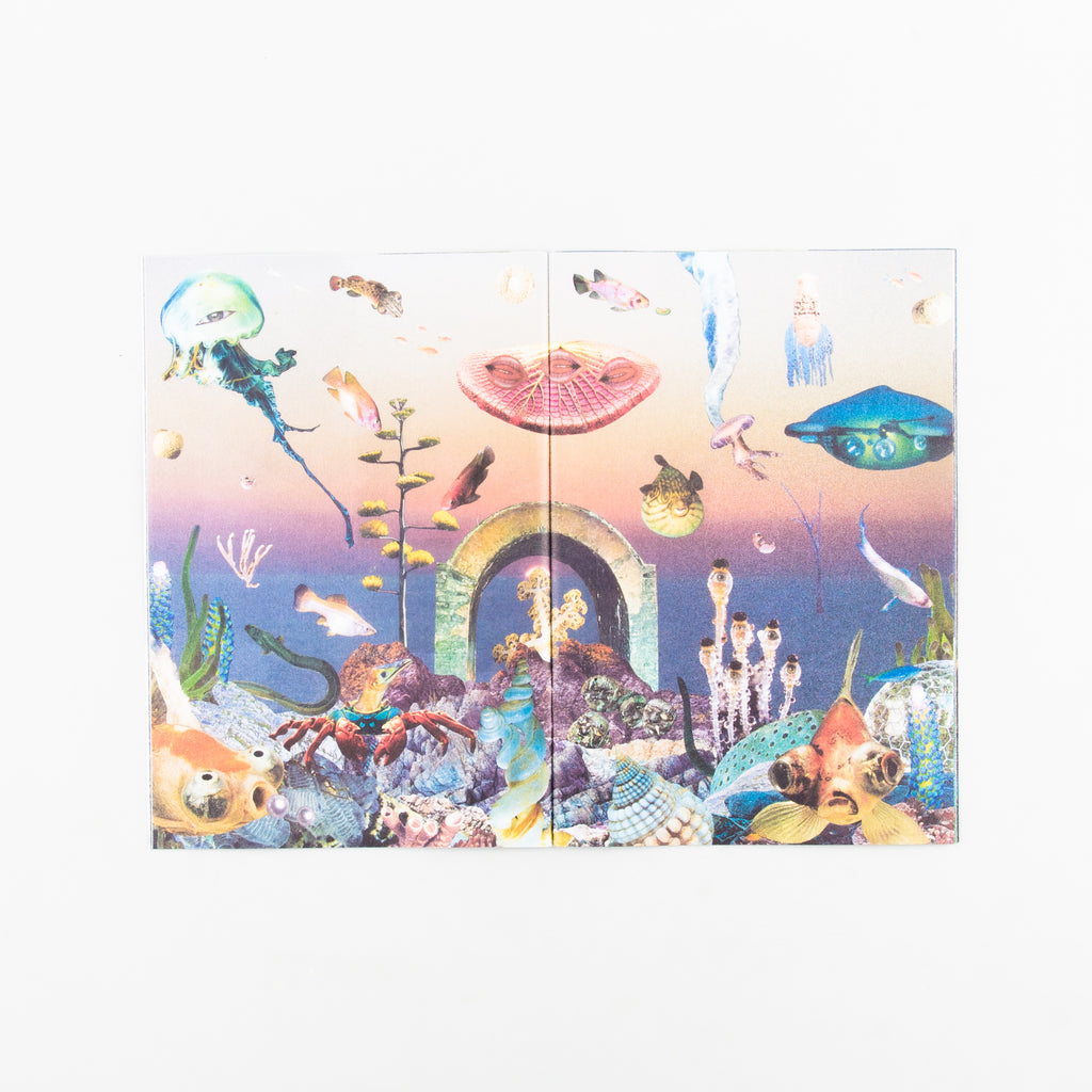 Hybrids and Mushroom friends by Seana Gavin - 3