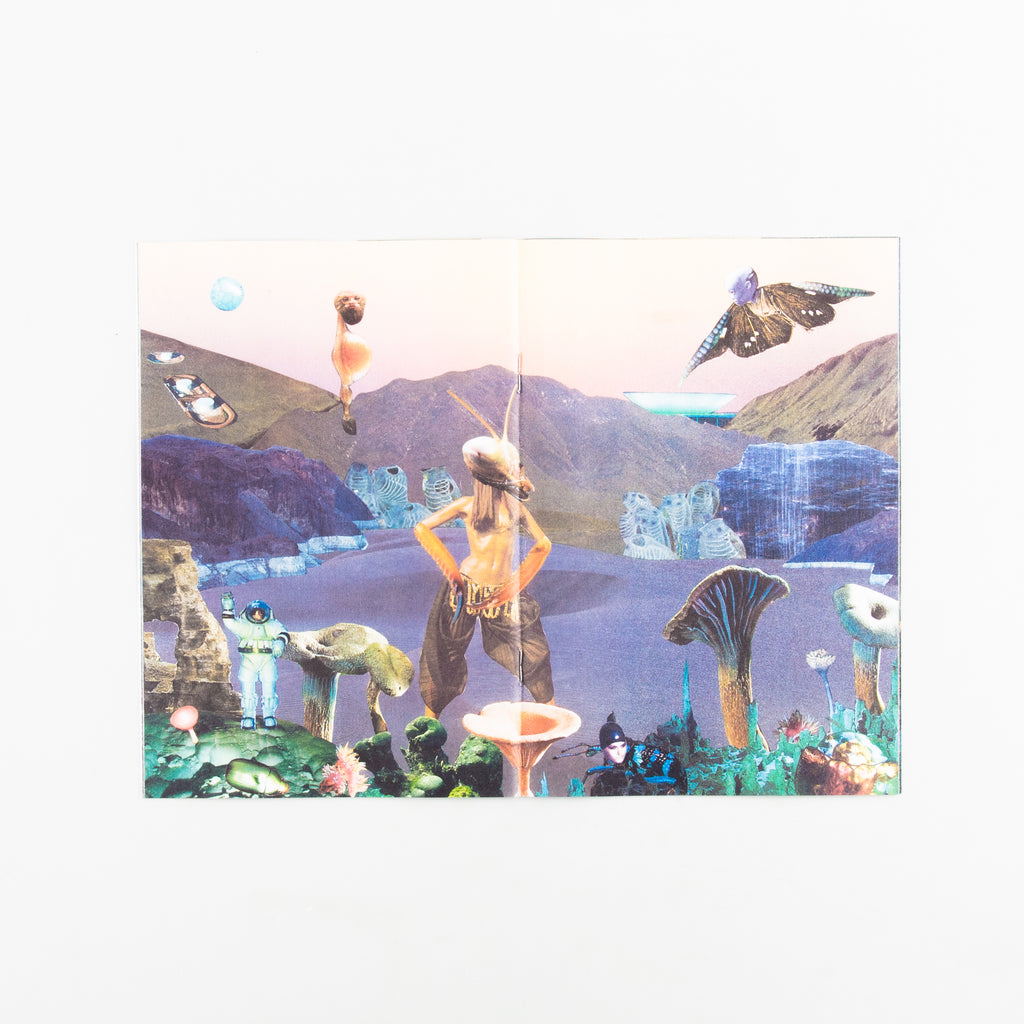 Hybrids and Mushroom friends by Seana Gavin - Cover