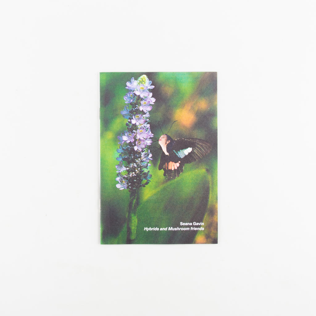 Hybrids and Mushroom friends by Seana Gavin - 4