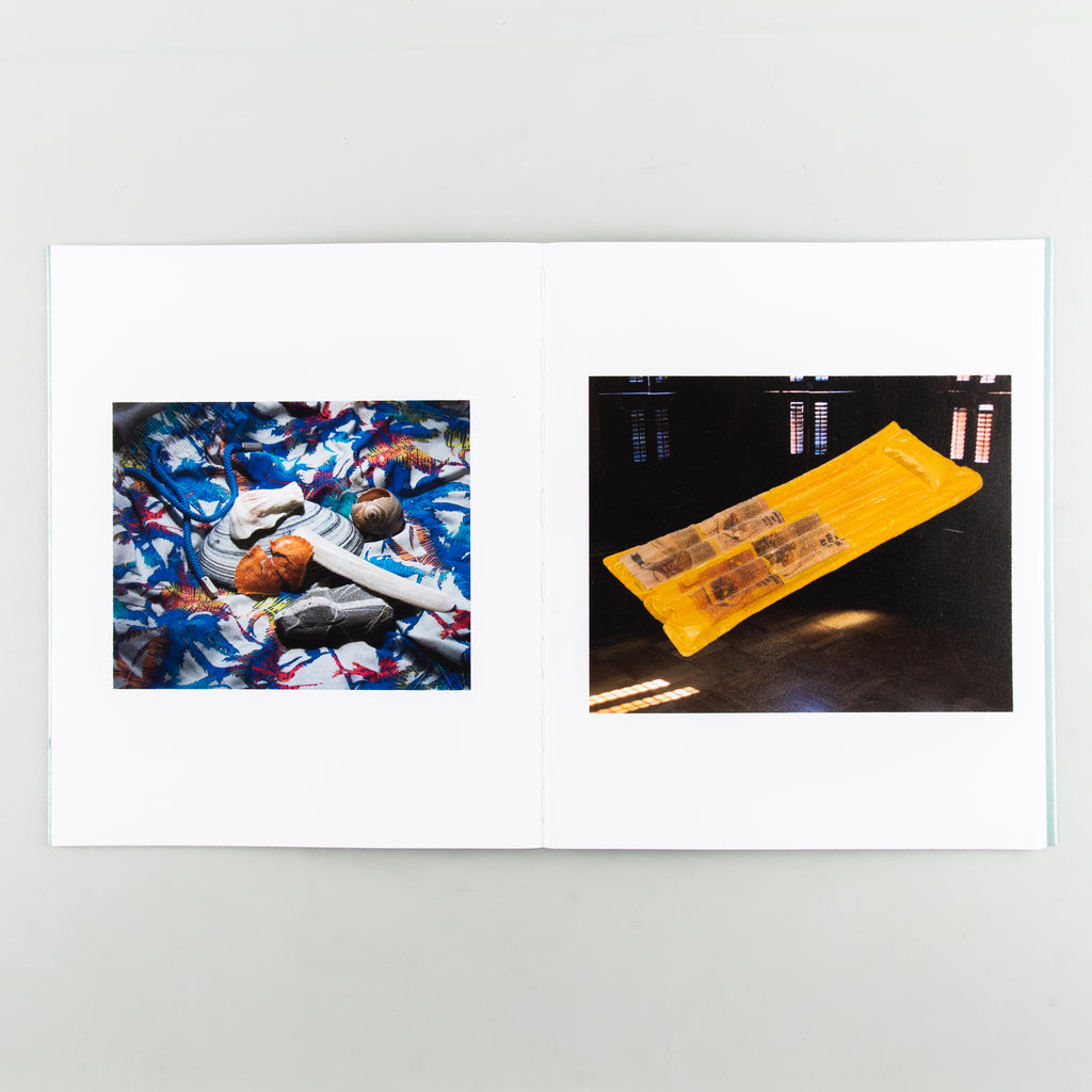 SHELLS by Roe Ethridge - 7