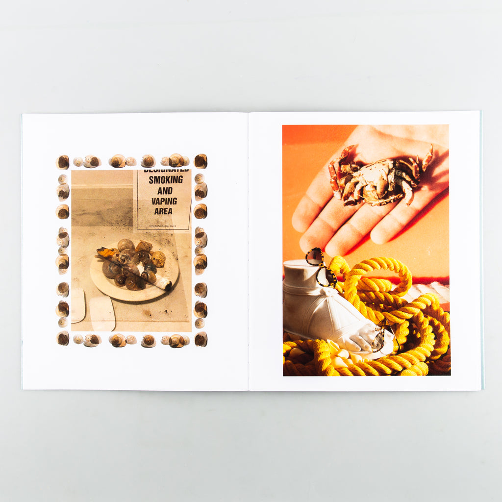 SHELLS by Roe Ethridge - 5