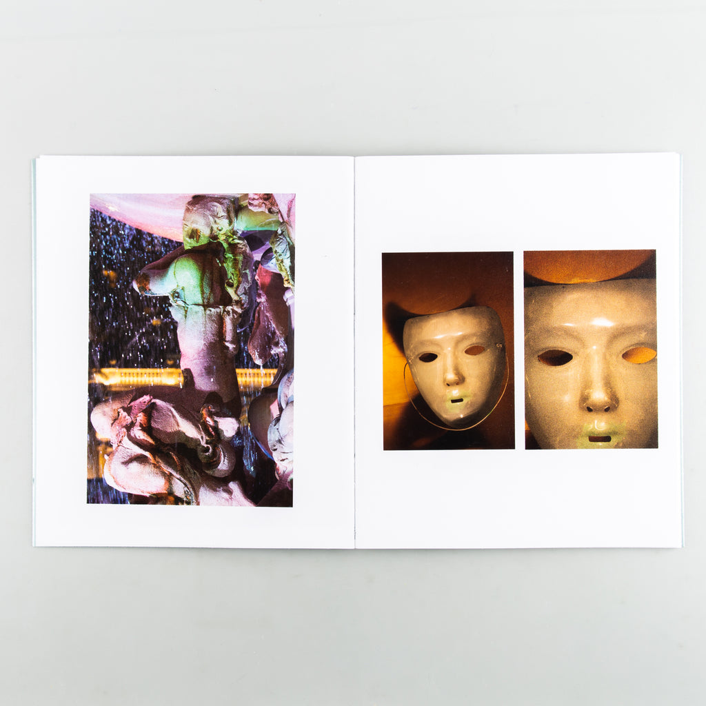 SHELLS by Roe Ethridge - 3