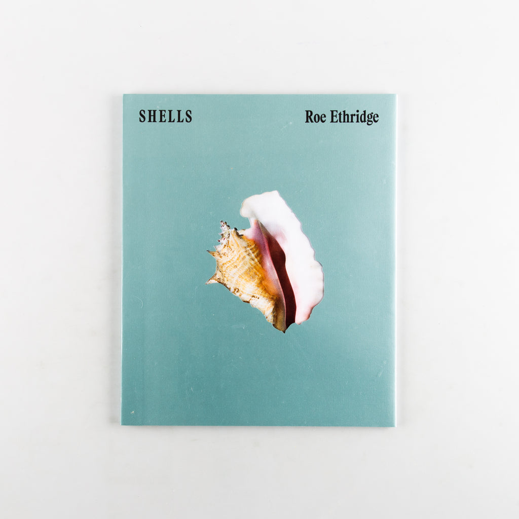 SHELLS by Roe Ethridge - 11