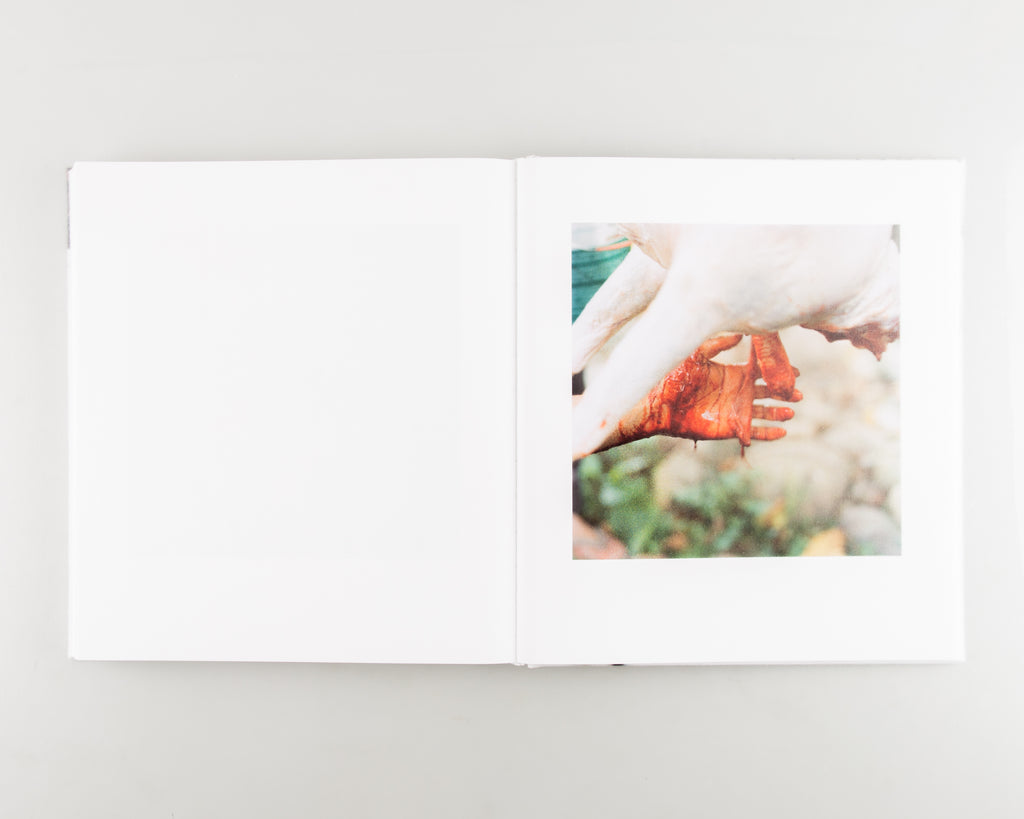 Snow (SIGNED) by Sohrab Hura - 7
