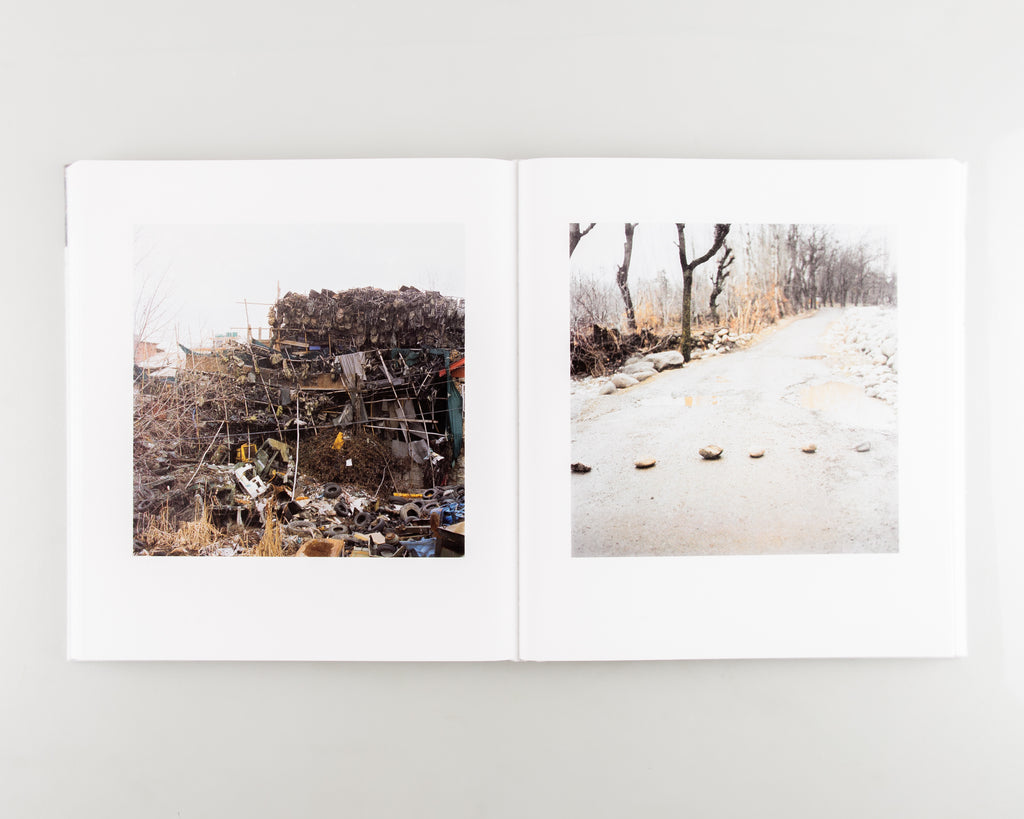 Snow (SIGNED) by Sohrab Hura - 6
