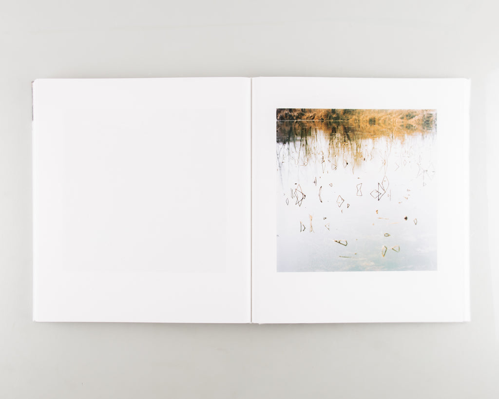Snow (SIGNED) by Sohrab Hura - 3