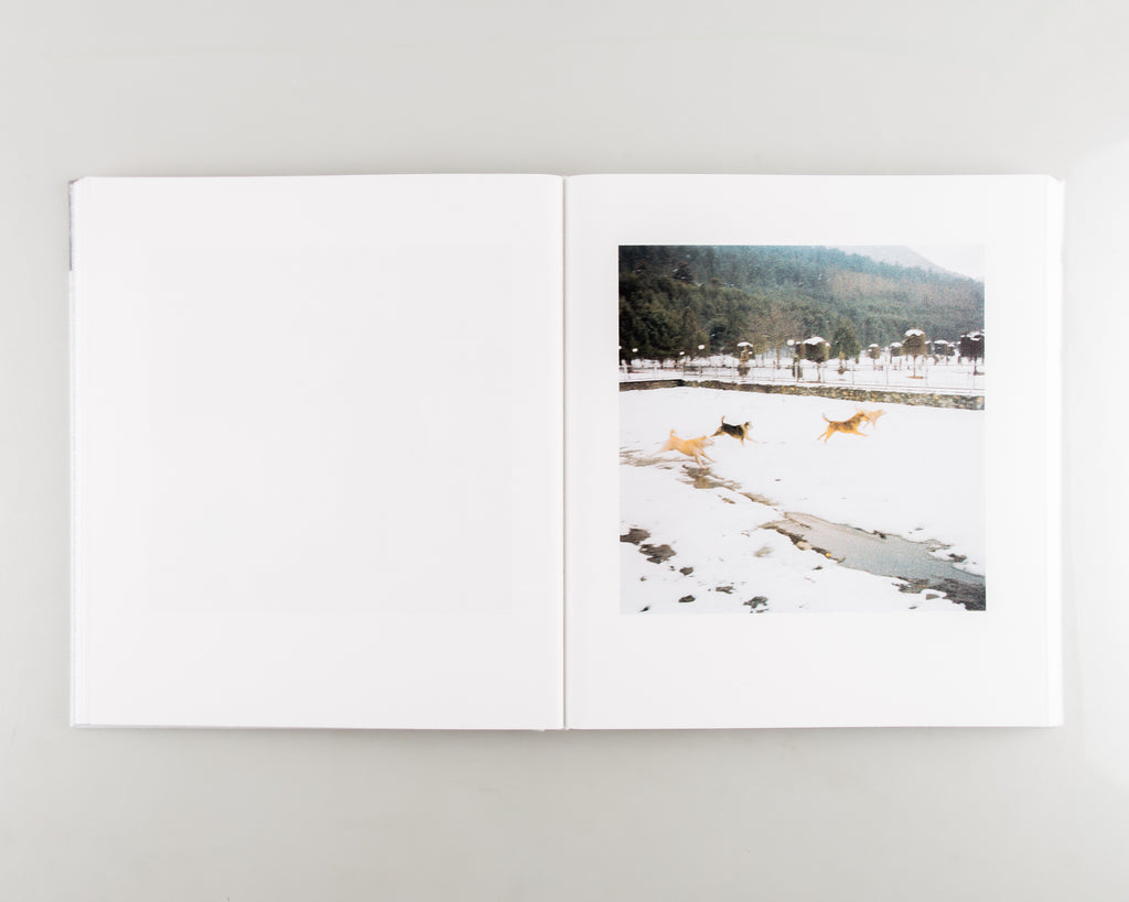 Snow (SIGNED) by Sohrab Hura - Cover