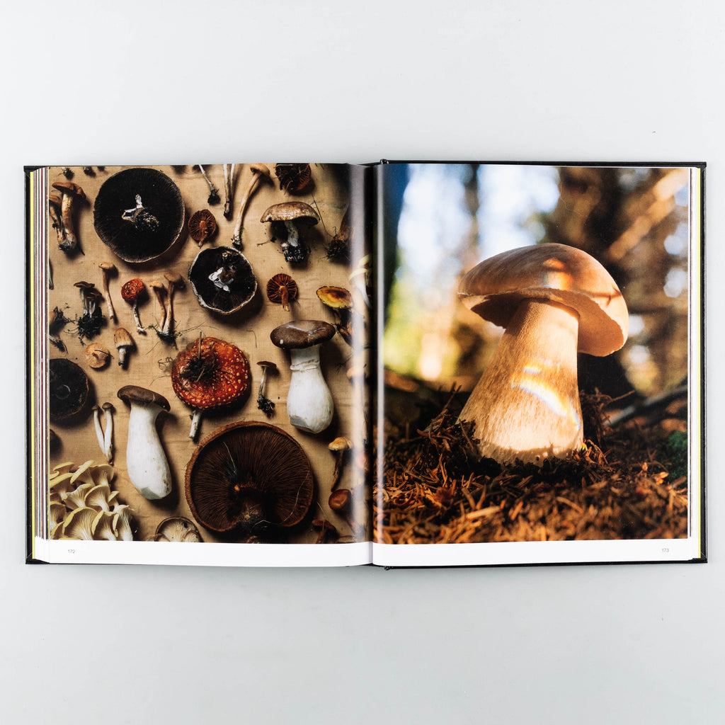 Spores: Magical Mushroom Photography - 4