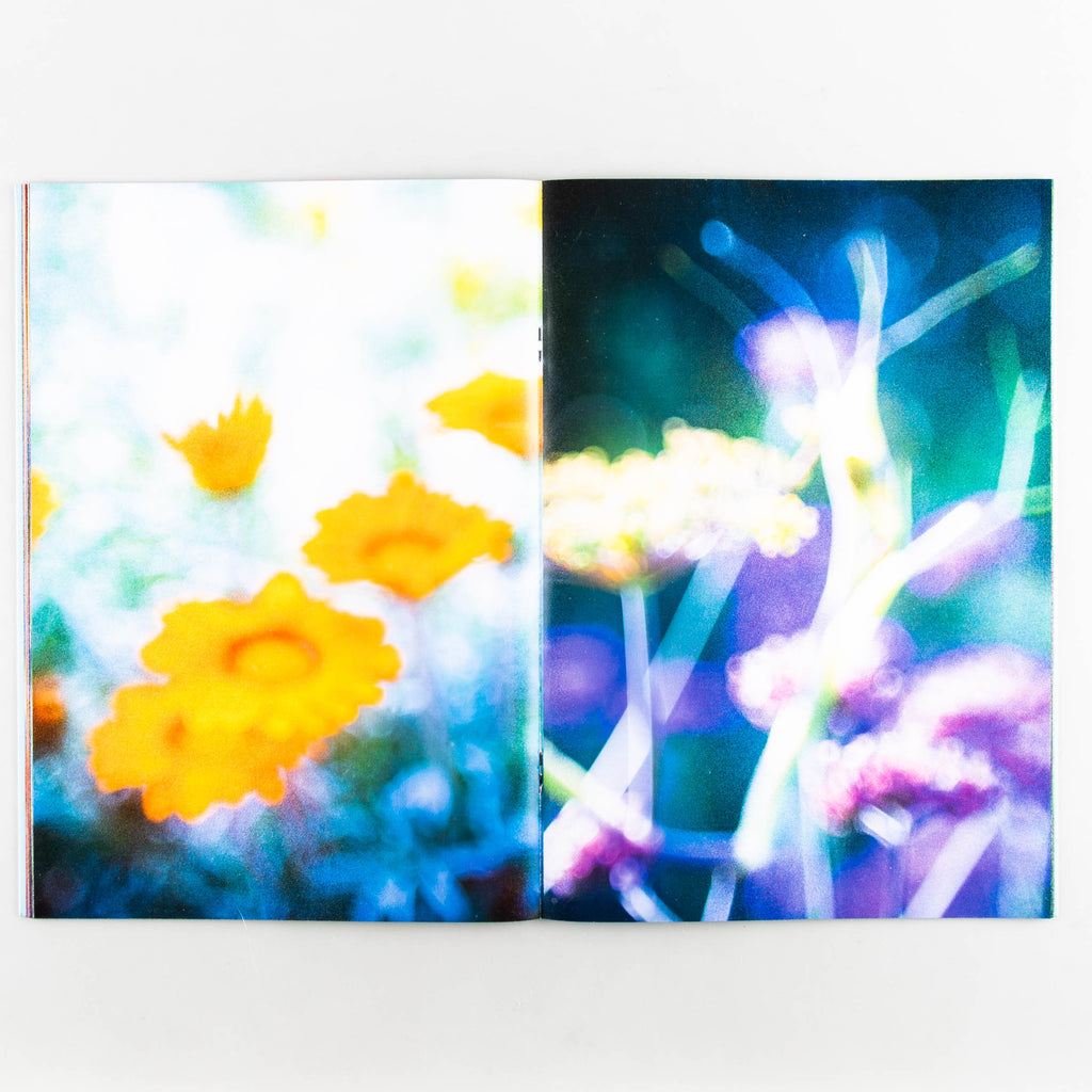 Symphony II by Nobuo Iida - 5