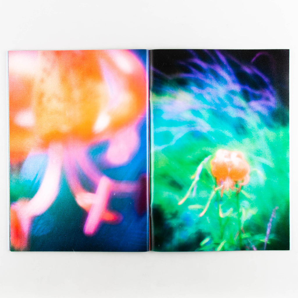 Symphony II by Nobuo Iida - 7