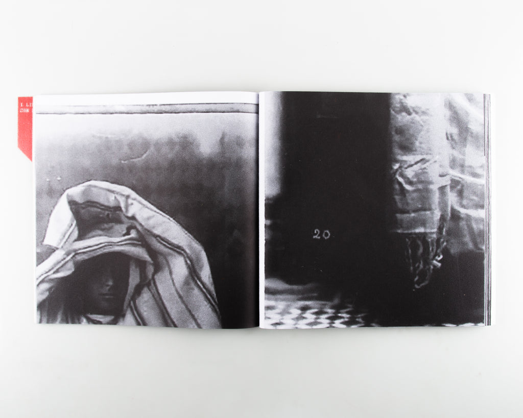 The Fold by Hoda Afshar - Cover