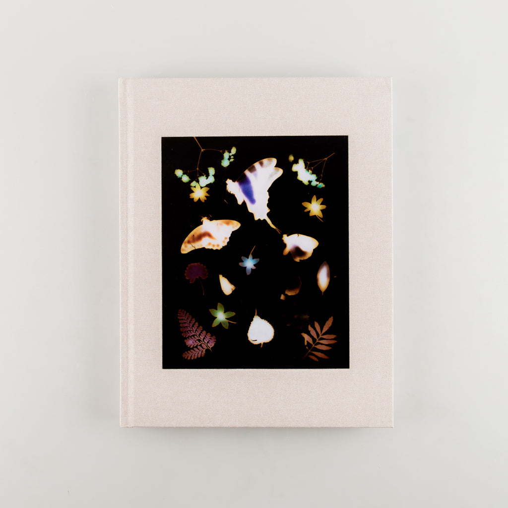 The Marble by David Brandon Geeting - 1