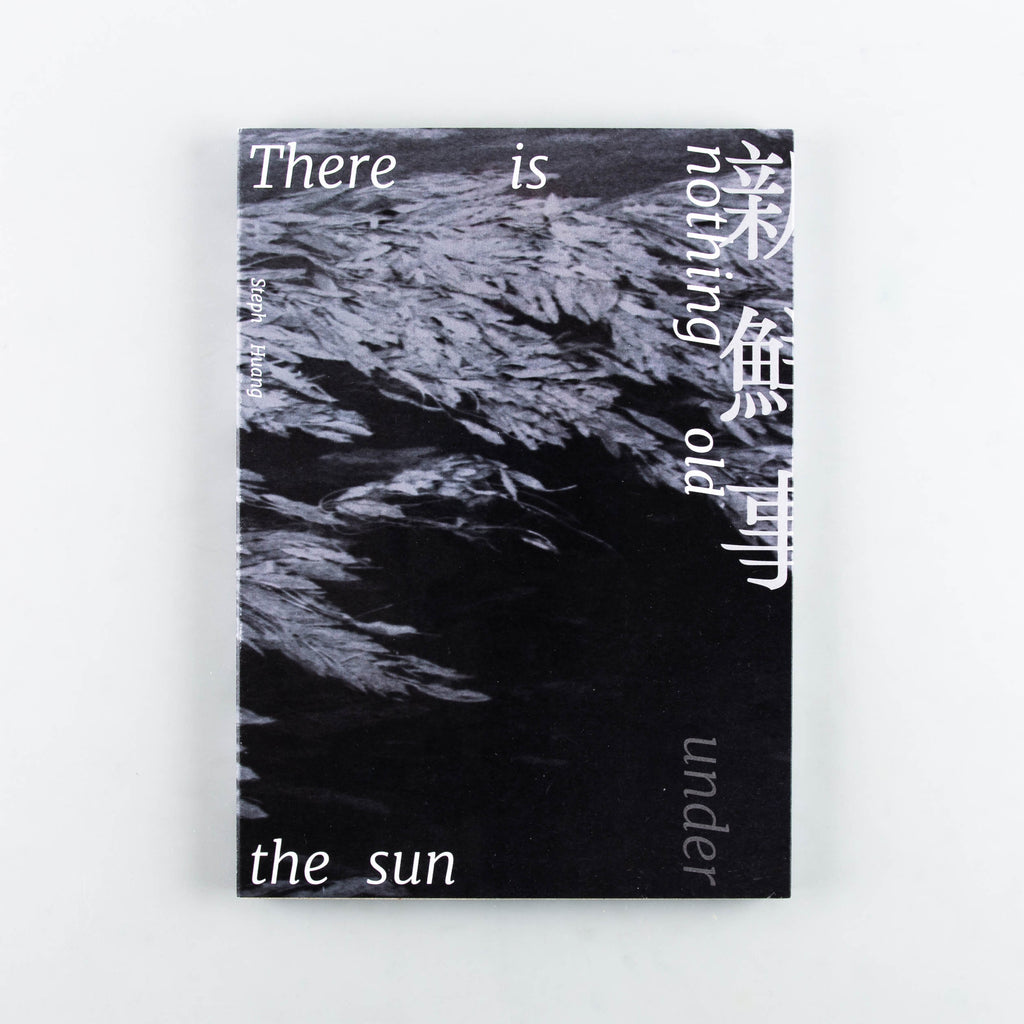 There is nothing old under the sun (SIGNED) by Steph Huang - 12