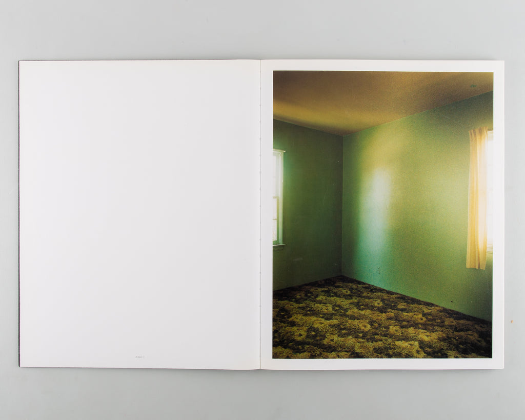 Witness Number Seven by Todd Hido - 5