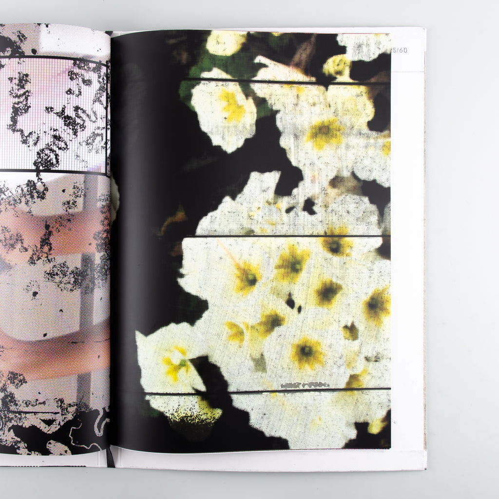 Unintended Multiplication Between Two Unrelated Things by Ryoya Minami - 6