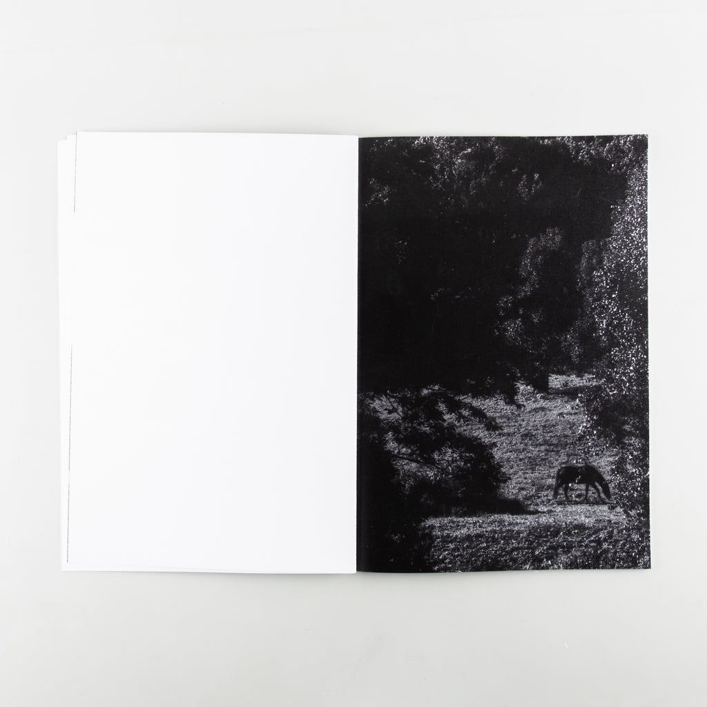 Unspoken Ties by Shannon Cavarocchi - 5