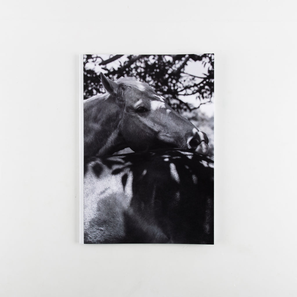 Unspoken Ties by Shannon Cavarocchi - 4