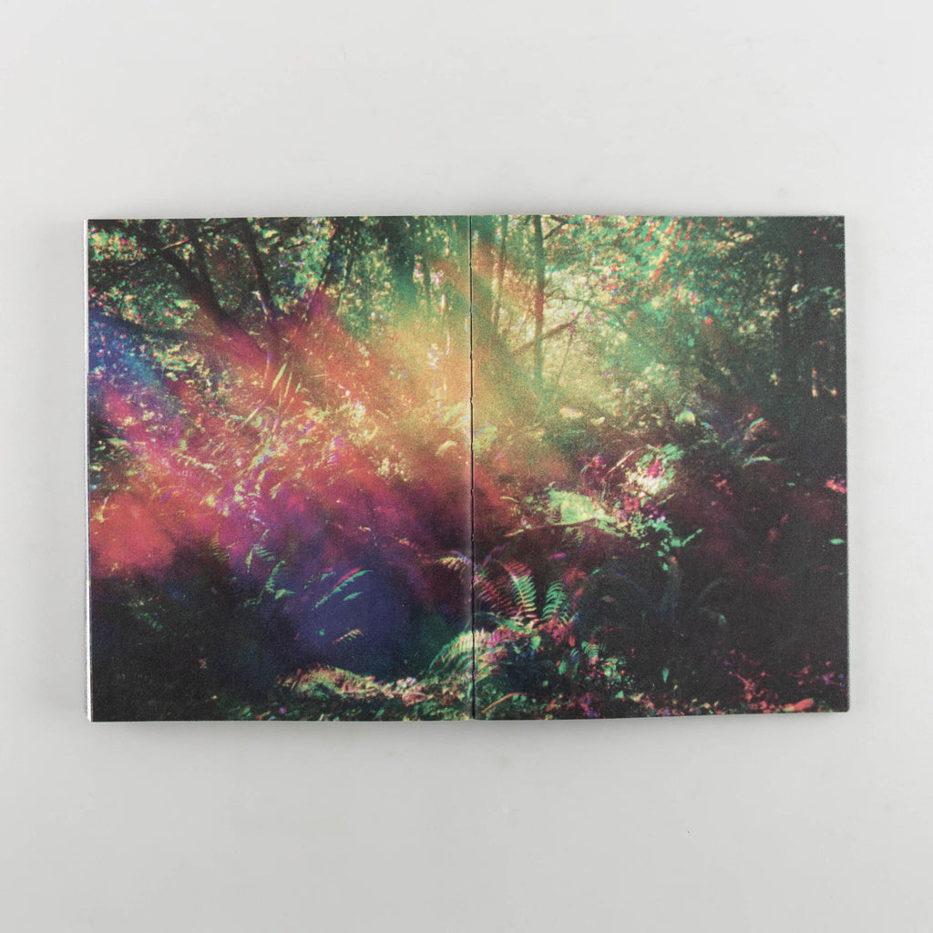 Urthworks by Ben Rivers - 6