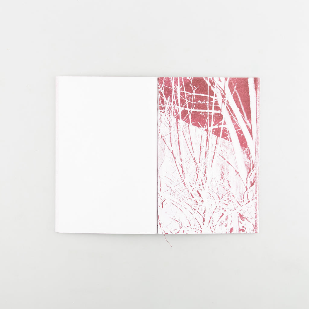 WHEN THE SUN AND LEAVES HAVE FALLEN by Spencer Hughes - 5