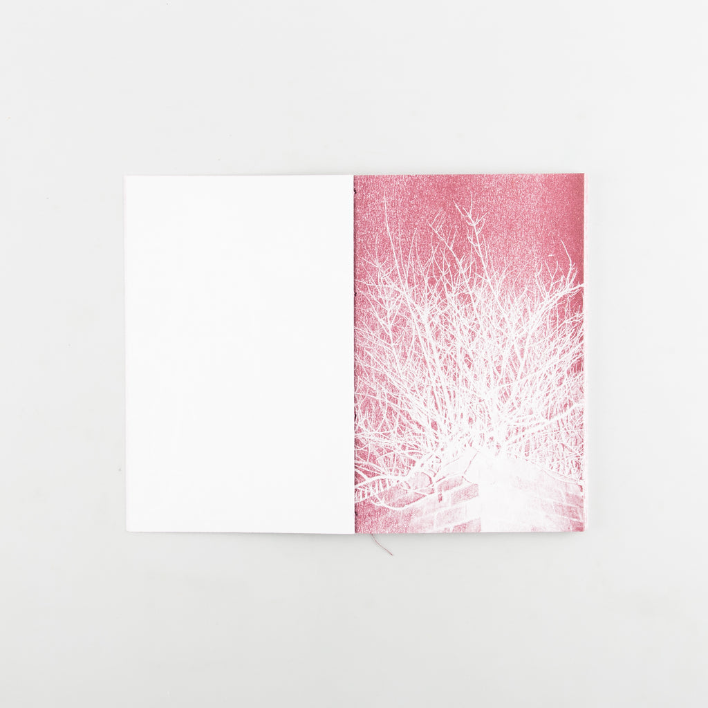 WHEN THE SUN AND LEAVES HAVE FALLEN by Spencer Hughes - Cover