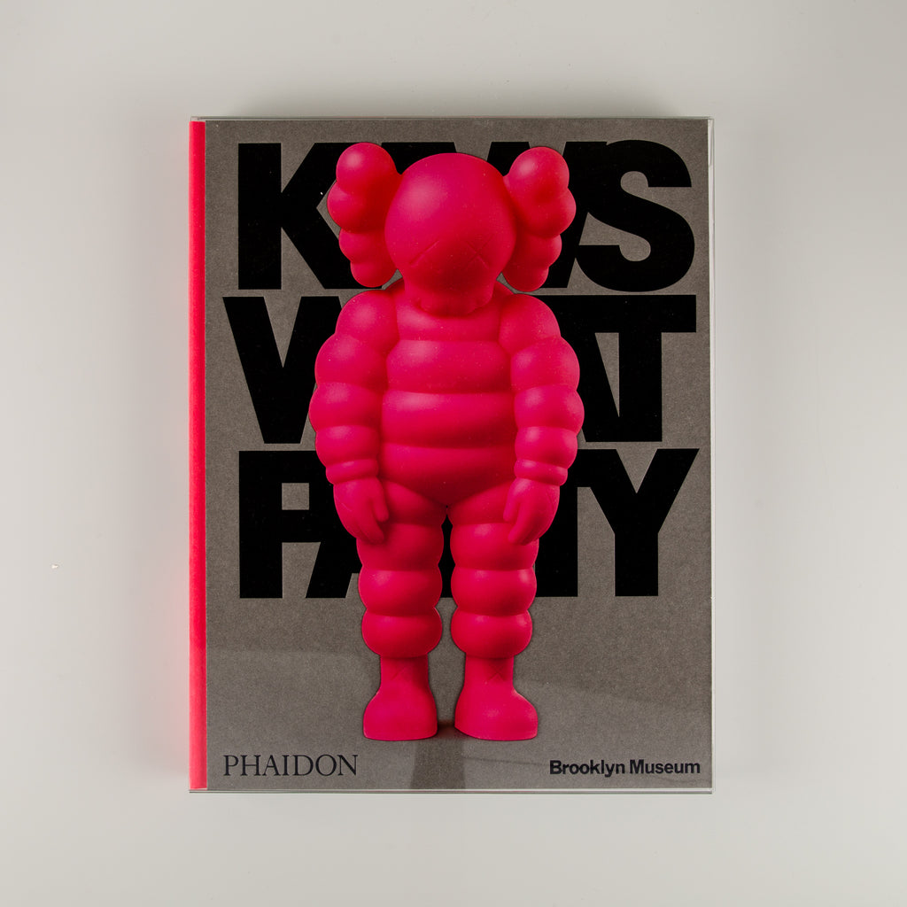 KAWS What Party - 3