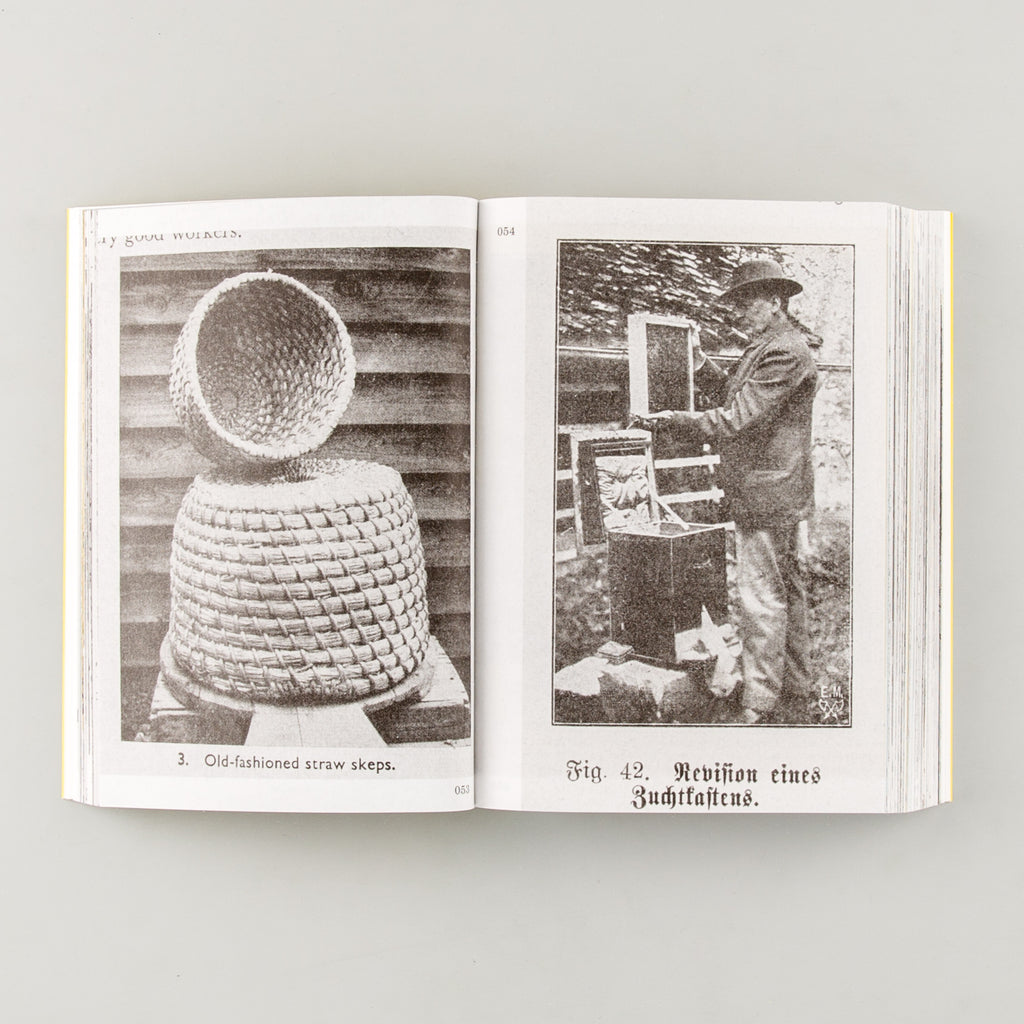 HIVES visual history of the beehive by Aladin Boriloi - Cover