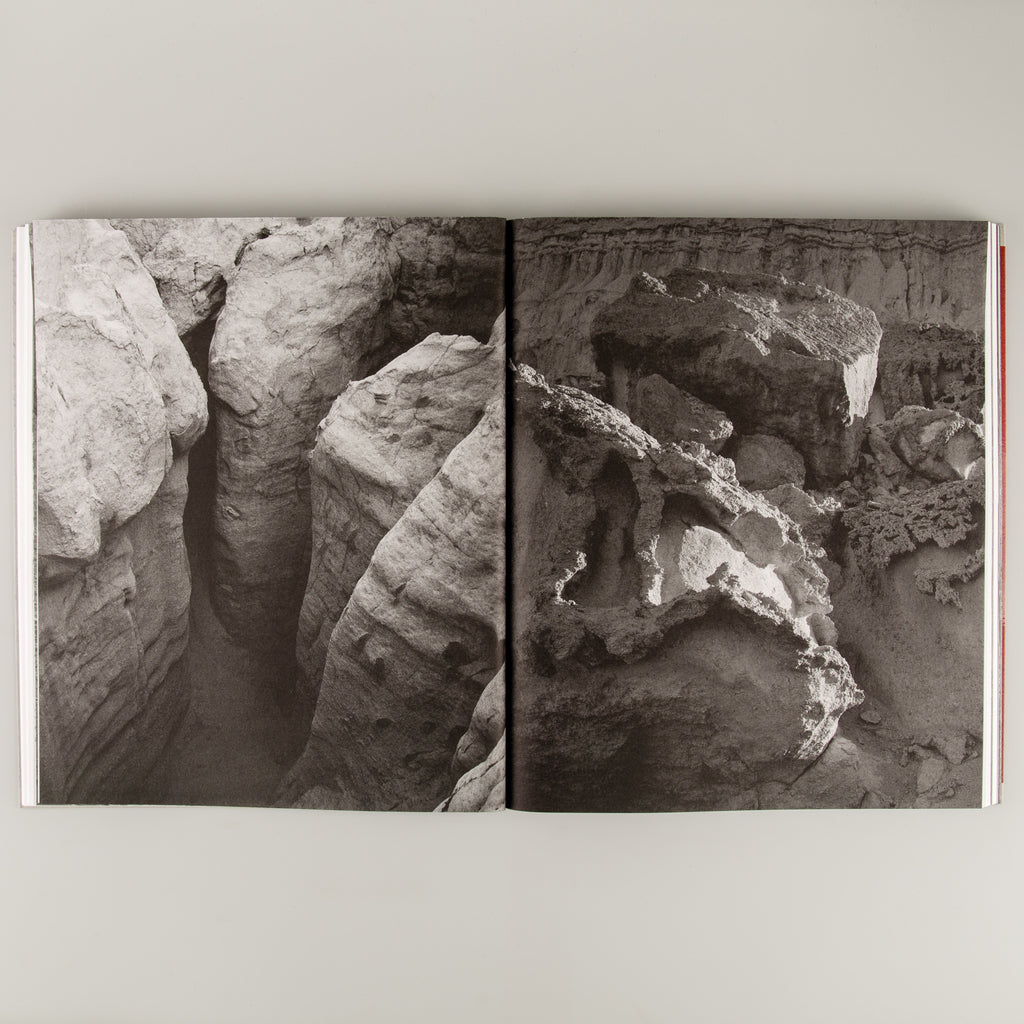 Speak The Wind (SIGNED) by Hoda Afshar - 4
