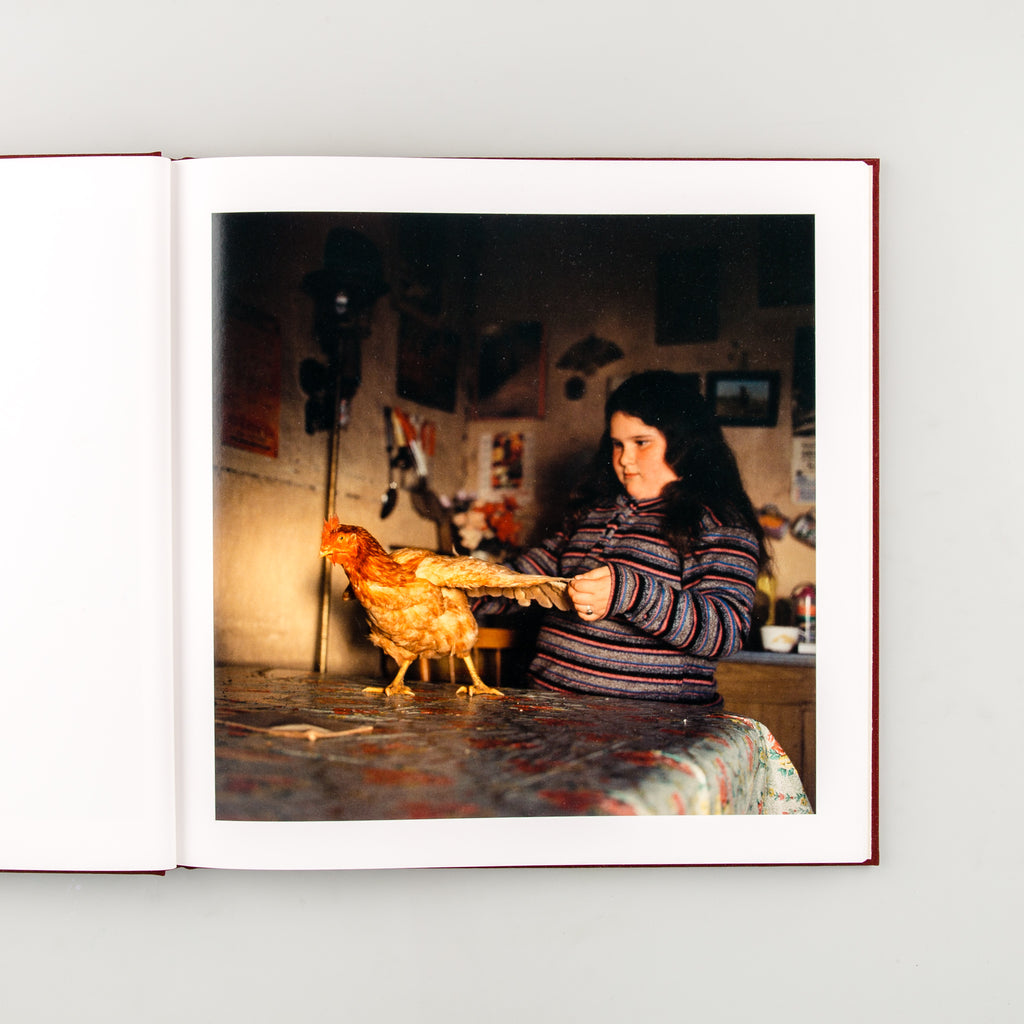 The Adventures of Guille and Belinda and The Enigmatic Meaning of Their Dreams by Alessandra Sanguinetti - 3