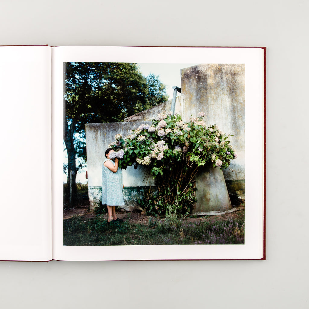 The Adventures of Guille and Belinda and The Enigmatic Meaning of Their Dreams by Alessandra Sanguinetti - 4